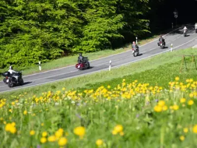 werrapark-resorts-frankenblick-hotel-4-tage-wander-wellness-im-thuringer-wald-inkl-abendessen