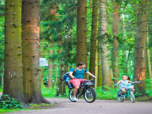 werrapark-resort-hotel-heubacher-hohe-5-tage-thuringer-wald-entdecker