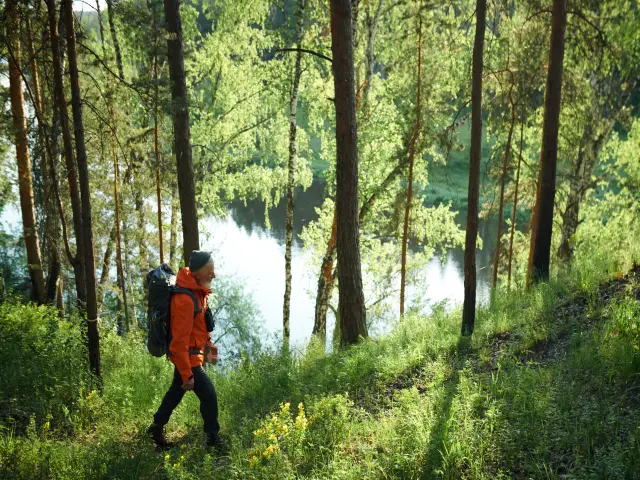 werrapark-resort-hotel-heubacher-hohe-3-tage-thuringer-wald-entdecker