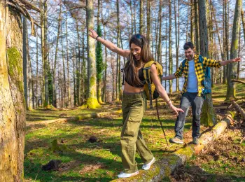 werrapark-resort-hotel-heubacher-hohe-wanderlust-im-thuringer-wald-mit-halbpension-4-tage