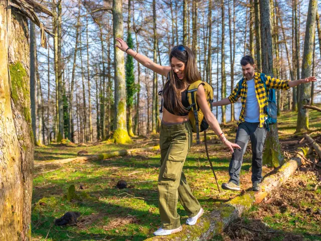 werrapark-resort-hotel-heubacher-hohe-wanderlust-im-thuringer-wald-mit-halbpension-4-tage