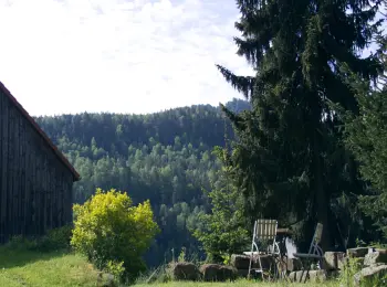 werrapark-resort-hotel-heubacher-hohe-dreck-spatzenwochen-im-thuringer-wald-halbpension