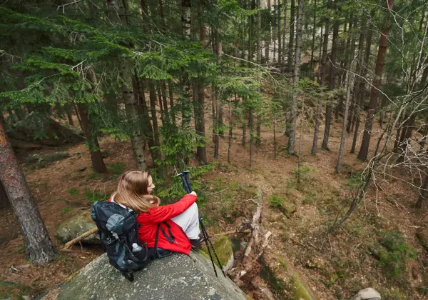 werrapark-resort-hotel-heubacher-hohe-thuringer-wald-entdecker-halbpension