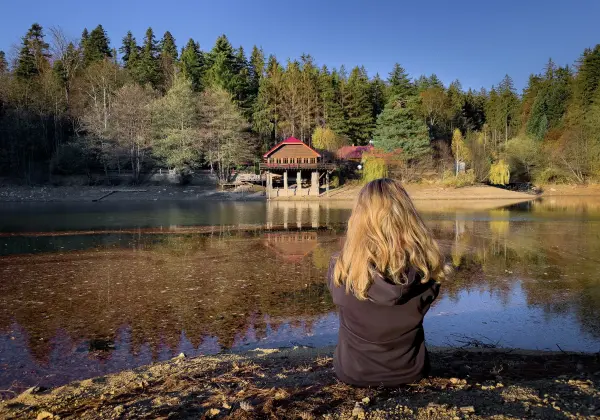 werrapark-resorts-frankenblick-hotel-5-tage-wander-wellness-im-thuringer-wald-inkl-abendessen