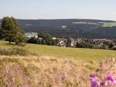 werrapark-resort-hotel-heubacher-hohe-silvester-im-werrapark-resort-hotel-heubach-in-masserberg