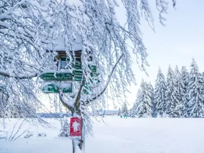 werrapark-resort-hotel-heubacher-hohe-winterurlaub-im-thuringer-wald-mit-hp